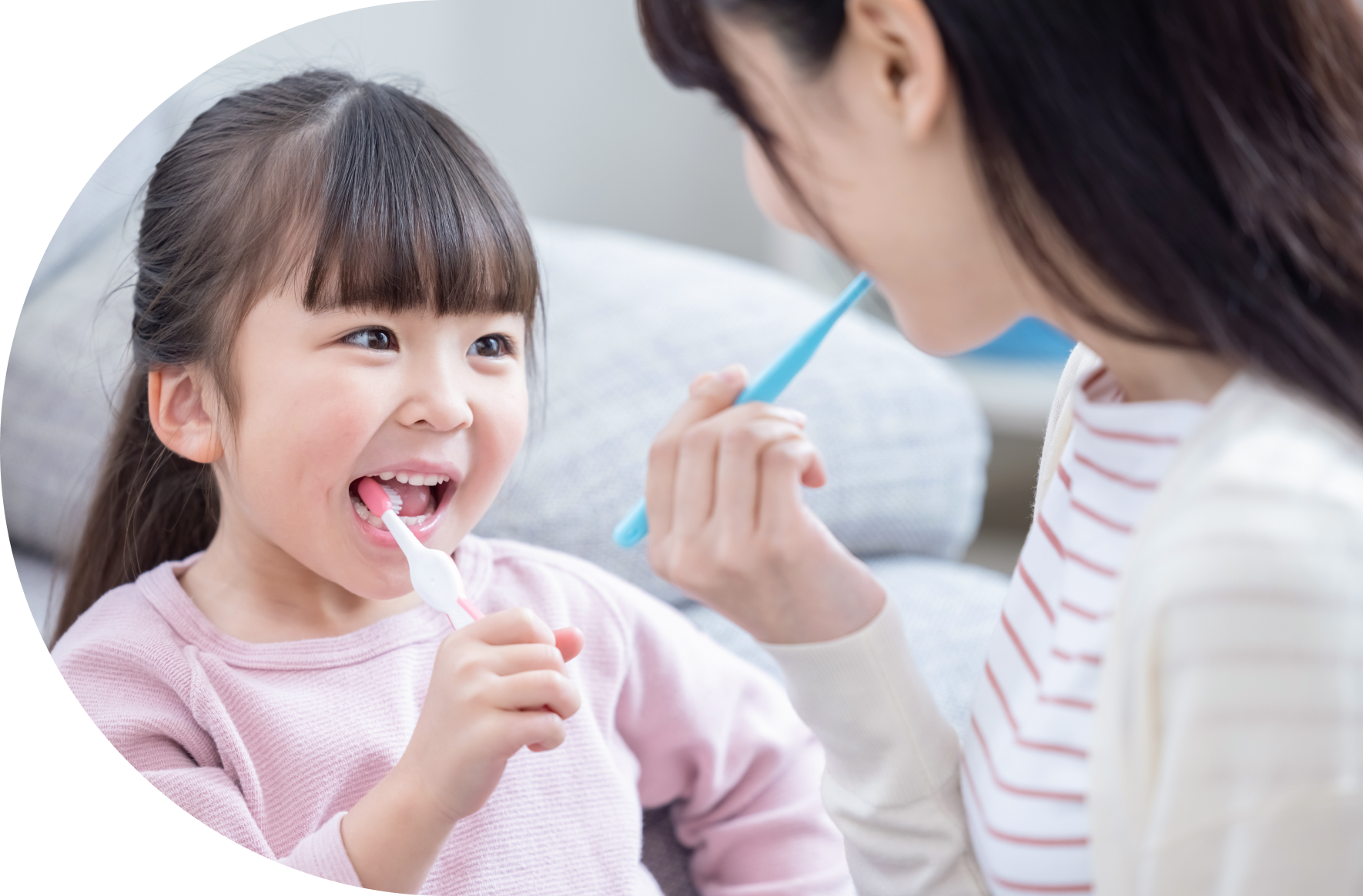 にしい歯科クリニックのブラッシング指導 正しいブラッシングで健康な歯を守る